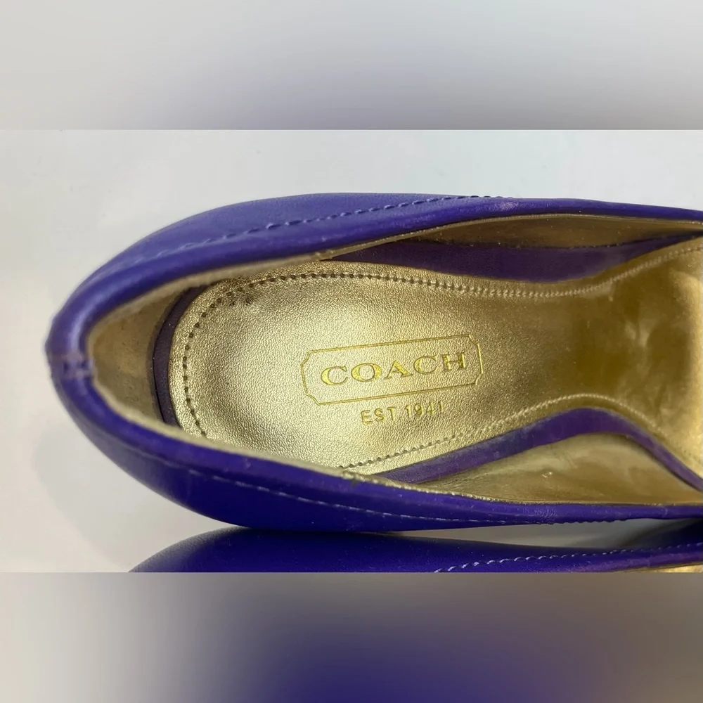 Coach Desaree Purple Bock Heel Pumps Gold Hook‎ Buckle Accent Heels Size 6 B